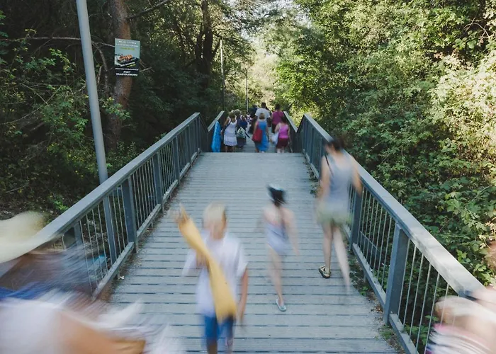 Keja Camping Chlapowo אתר קמפינג